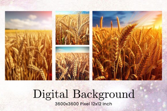 Field of Wheat Backgrounds: A Designer's Guide to This Digital Asset