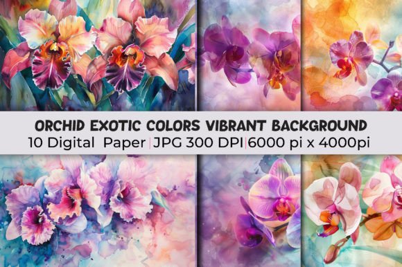 Transform Your Projects with Orchid Exotic Colors Vibrant Backgrounds